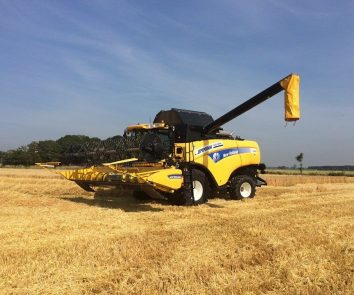 {{brizy_dc_image_alt imageSrc=