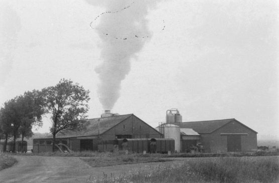 {{brizy_dc_image_alt imageSrc=